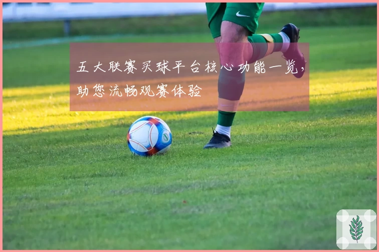 五大联赛买球平台核心功能一览，助您流畅观赛体验
