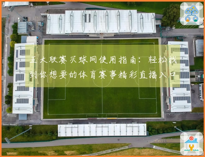 五大联赛买球网使用指南：轻松找到你想要的体育赛事精彩直播入口