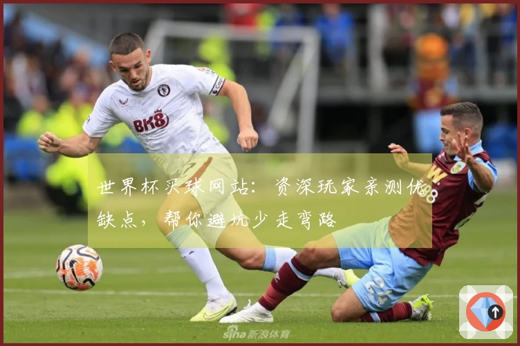 世界杯买球网站：资深玩家亲测优缺点，帮你避坑少走弯路