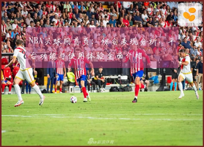 NBA买球网首页：综合表现分析，平台功能与使用体验全面介绍